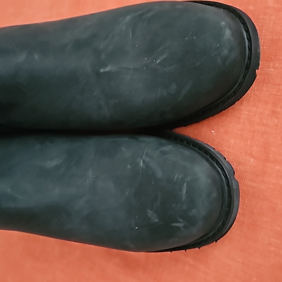 EMU - Picture 3 of 3